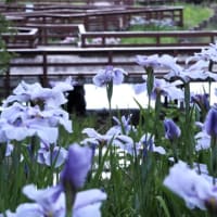 山田池公園