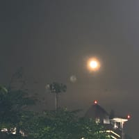 満月⭐︎蠍座・永遠なんて、、、
