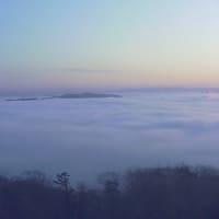 今朝もきれいな霧の海