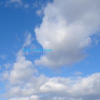 カメ漫だらだら石ちゃん散歩　続々編003