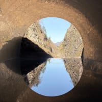 新潟の山奥に水鏡のアートな絶景