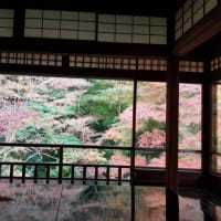 【吉野敏明】確かにコレはアカン…安倍さんが海外に売り払ったモノとは… 中野駅 #日本誠真会 街頭演説 2025年7月4日 #吉野敏明 #よしりん