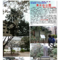 施設案内東京-543   清水谷公園