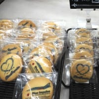 北に向かって・ちょこっとお出かけ（８日目）ブルーインパルス
