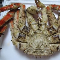 一人でカニパ①