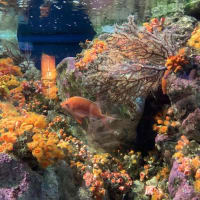 水族館の秋
