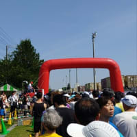相模総合補給廠で東日本国際親善マラソン＆ハワイアンフェスティバルに行ってきたのだ···