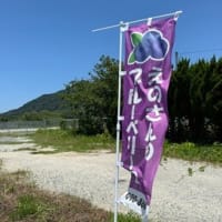 あつあつ　べりー。