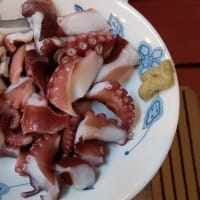 3年振りのタコ釣り！