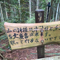 山の神様