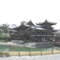 平家物語ゆかりの地を巡る旅　京都44：宇治平等院（2）