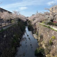 5月14日の祈祷会の内容です。