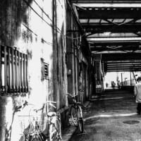 monochrome