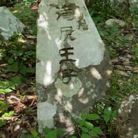 熊野古道　中辺路　ここから始まる道