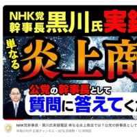 NHK党幹事長・黒川氏実録電話 単なる炎上商法では？公党の幹事長として質問に答えてください