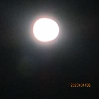  601 -【 ひと際大きく見える満月：スーパームーン 】　2020,04,08