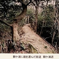 【全国統一もできた？ 戦国期「大内氏」　世界遺産・石見銀山-3】