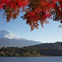 富士五湖紅葉2012（総集編）