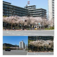 施設案内東京-525　東京・霞ヶ関の建物　