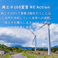 「中国の再エネ」「国家電網公司」「自然エネルギー財団」「再エネ１００宣言」