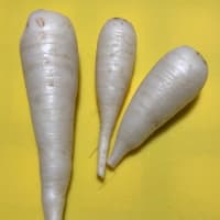 ミニ菜園2