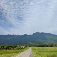 梅雨〜ひと休み
