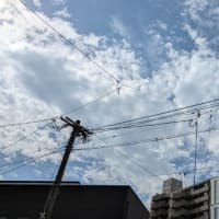 時々晴れ　１１９６２回目のブログ更新