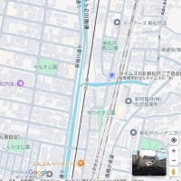 ピンピンコロリが日本を救う！  漢方で病気を予防