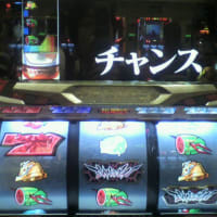 今日の一枚
