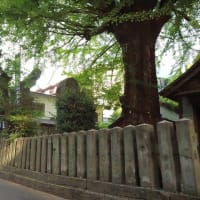 【京都発幕間旅情】熊本手取天満宮,大火内戦大戦越え火除信仰と共に熊本市中心ビル群に憩う