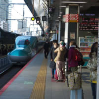 東京駅２０番線ホームを発着する東北新幹線はやぶさ３号　新青森行き