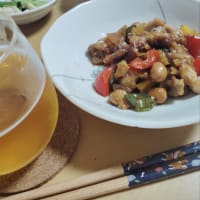 今日の晩酌は…