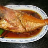 静岡県・沼津市の「煌きの丘」