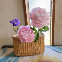 何事も健康から。。。🌸