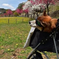 4月27日(日)　ありがとう！！