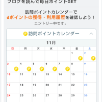 11月　訪問ポイント