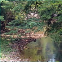 明日は七夕