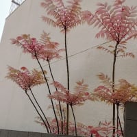 チャンチン・フラミンゴ