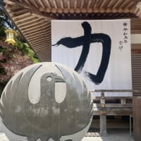 義両親と和歌山３泊４日旅～！！（13回忌の法事の為です）