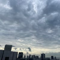 8/7の朝の空