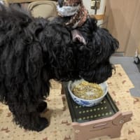 食べるペースが速いこと！！