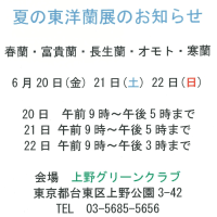 夏の東洋蘭展（６月20〜22日、上野）