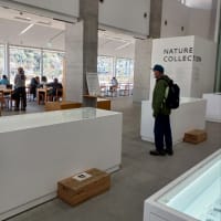 ４月の陽気に誘われて高尾山へ