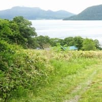 草刈り作業 ご苦労さまでした
