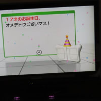 キキちゃんは84才おババワンですナ～(^^)