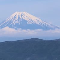 小室山公園から見る富士山
