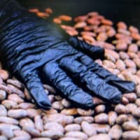 供給不足でカカオ豆が　銅相場を越えた　という報道から　日々更新　銅相場トーナイ
