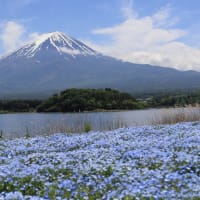 初夏の愛知・静岡の旅（４）富士五湖周遊：河口湖