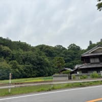 嫌いじゃないよー