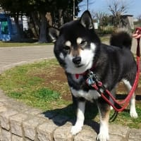 公園のお友達！